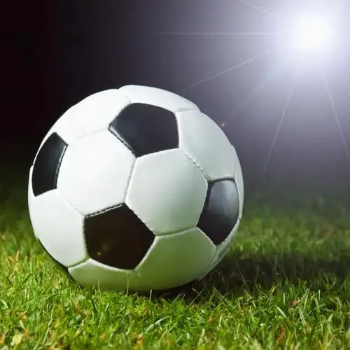 体育爱好者使用指数工具场景